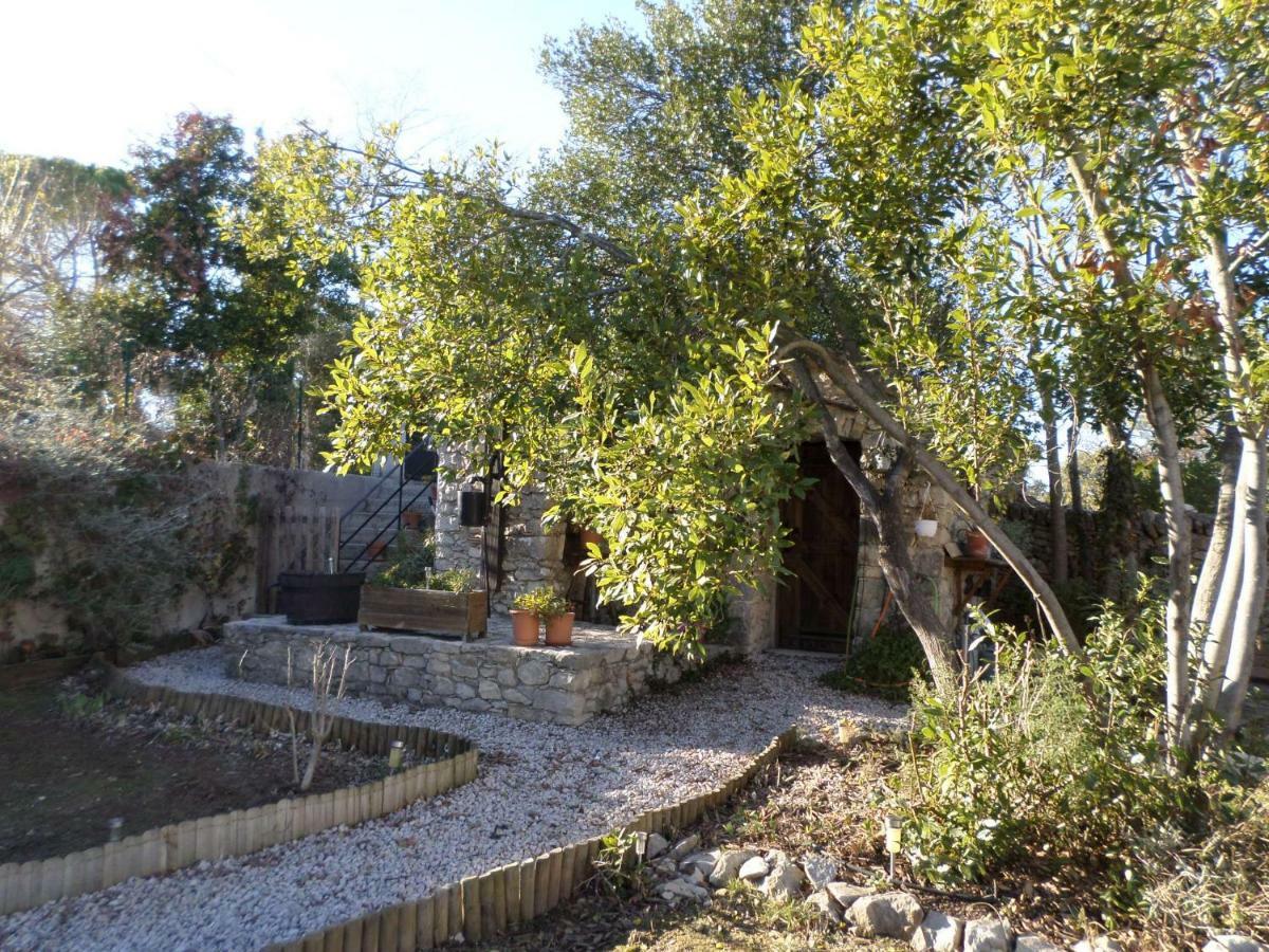 Les Broussous Bed and Breakfast Sauve Eksteriør billede